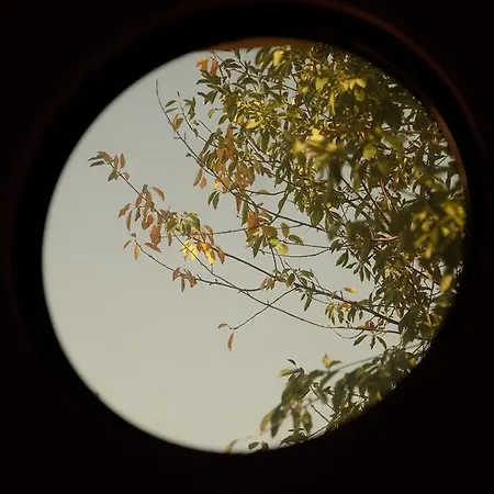 Idavilla & Bahce Szálloda Akçay