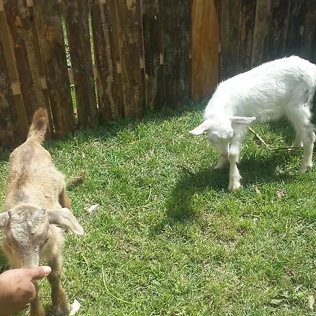 Szálloda Idavilla & Bahce Akçay