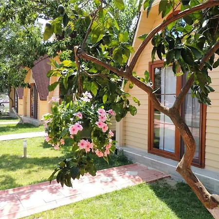 Idavilla & Bahce Akçay